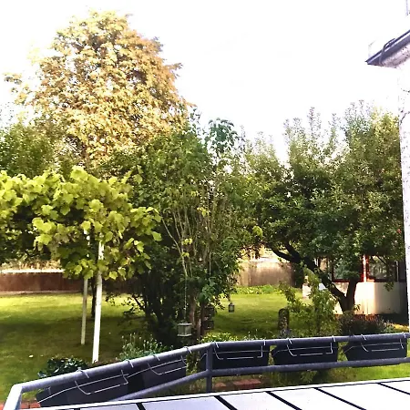 Rebenlaub Heringen (Hersfeld-Rotenburg)