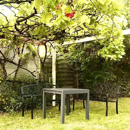 Rebenlaub * Heringen (Hersfeld-Rotenburg)