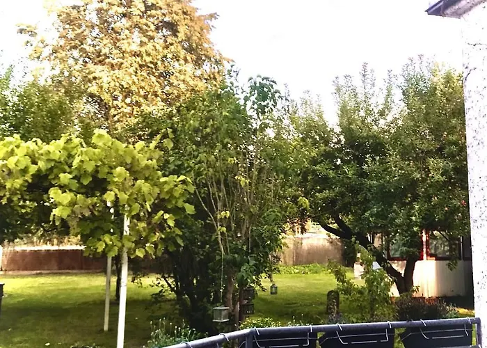 Rebenlaub Heringen (Hersfeld-Rotenburg)